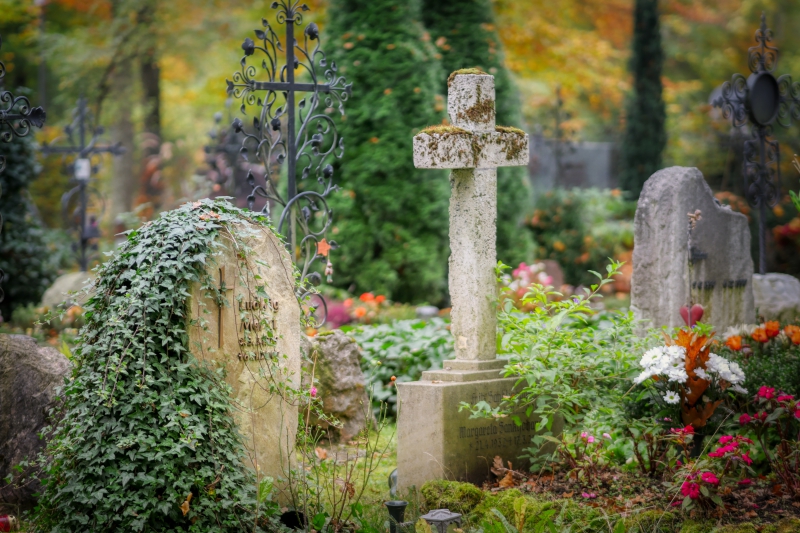 funeraire-LE BEAUSSET-min_cemetery-4653166